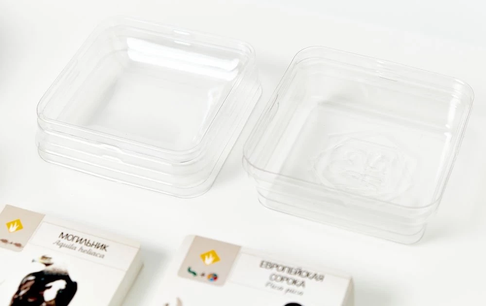 Board Game - Wings. Birds of Europe (expansion)