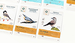 Board Game - Wings. Birds of Europe (expansion)