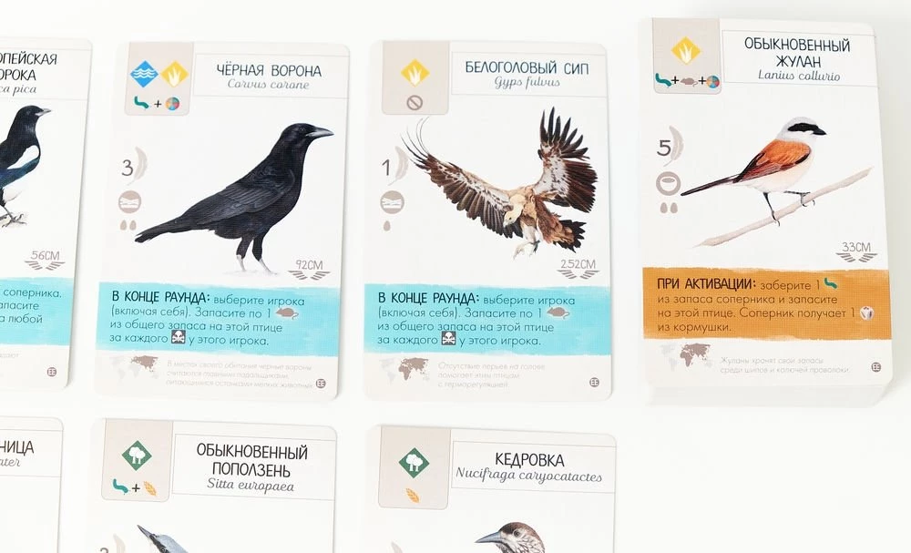 Board Game - Wings. Birds of Europe (expansion)