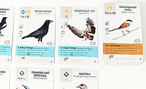 Board Game - Wings. Birds of Europe (expansion)