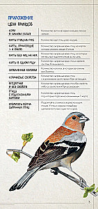 Board Game - Wings. Birds of Europe (expansion)