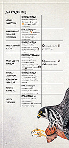 Настольная игра - Крылья. Птицы Европы (дополнение)