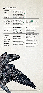 Board Game - Wings. Birds of Europe (expansion)