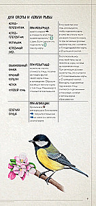 Board Game - Wings. Birds of Europe (expansion)