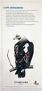 Board Game - Wings. Birds of Europe (expansion)