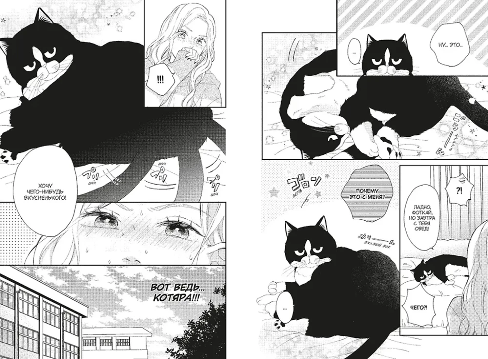 The Cat and the Kiss. Volume 2