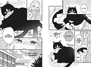 The Cat and the Kiss. Volume 2