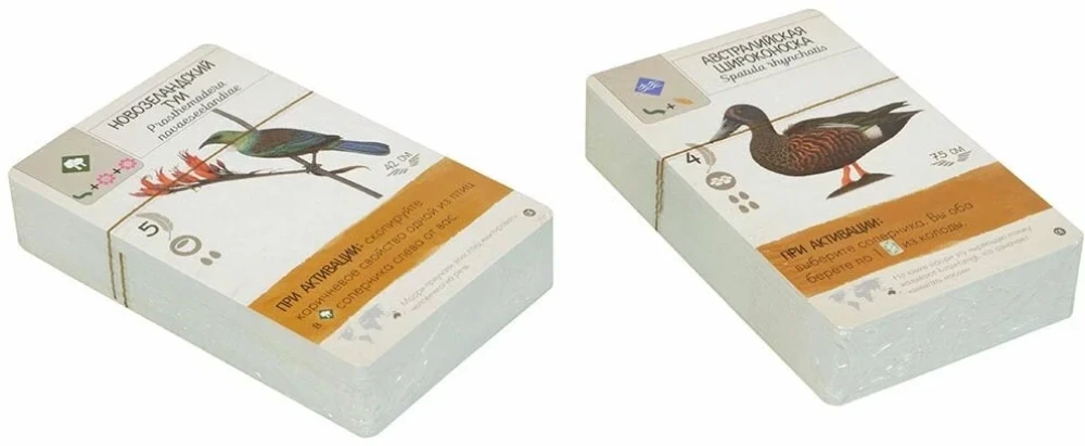 Board Game - Wings: Birds of Oceania (expansion)