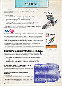 Board Game - Wings: Birds of Oceania (expansion)