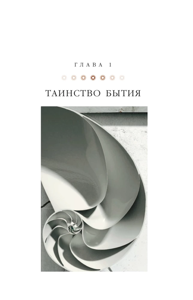 Высший замысел. Новый перевод