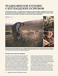 Большая книга Шетландского кружева. 12 изысканных шалей, шарфов и палантинов для вязания на спицах