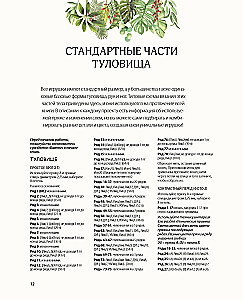 Megzk! Prijauk! Žaisk! Nauja žavingų laukinių gyvūnų kompanija, susijusių mezgimo. Daugiau nei 40 mezgimo schemų žaislams, drabužiams ir priedams...