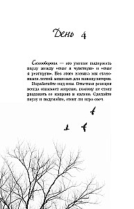 The Year That Will Change Everything. 365 Days to Become Who You Dream of Being