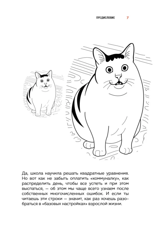 Okay, I moved out. How to survive without parents and learn independence