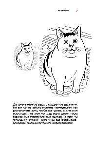 Okay, I moved out. How to survive without parents and learn independence