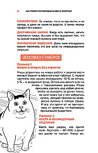 Okay, I moved out. How to survive without parents and learn independence