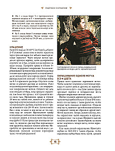 Strickalphabet. Aktualisierte und erweiterte Ausgabe