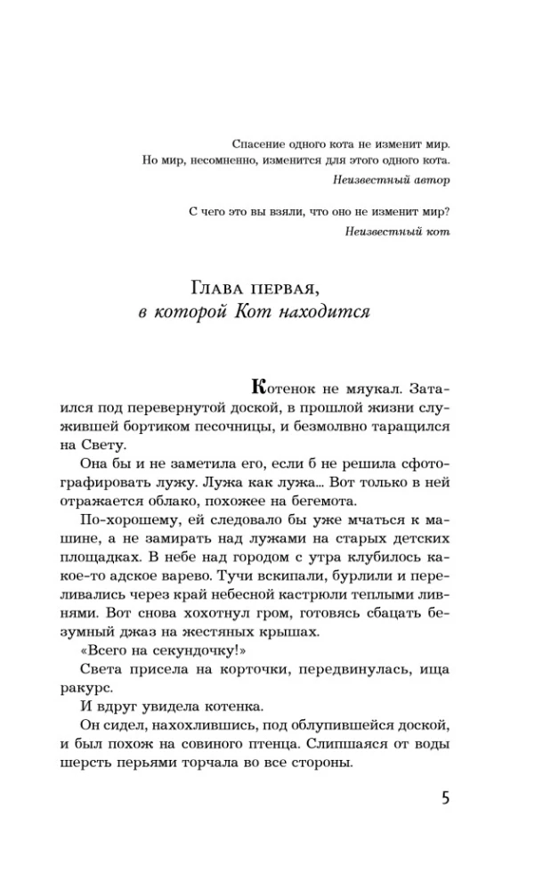 It is not recommended to offend cats