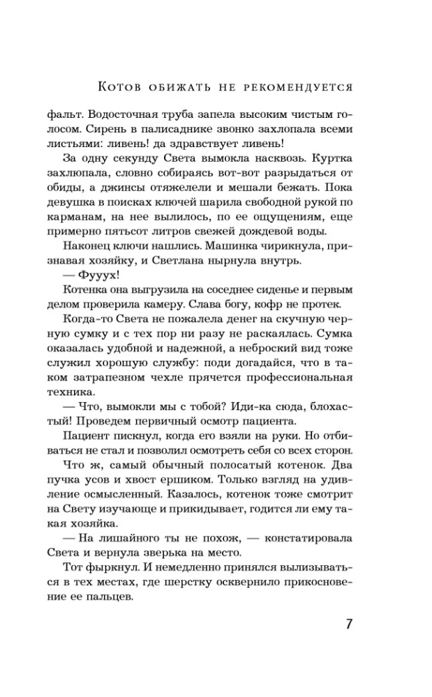 It is not recommended to offend cats