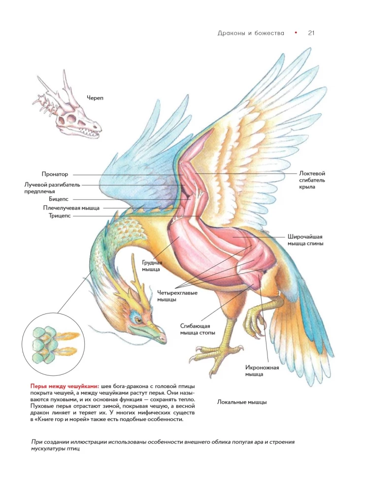 Bestiary of Chinese Mythology. The Book of Mountains and Seas. With Augmented Reality