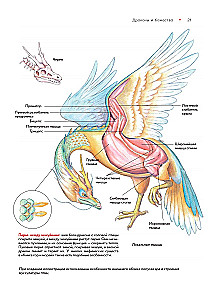 Bestiary of Chinese Mythology. The Book of Mountains and Seas. With Augmented Reality