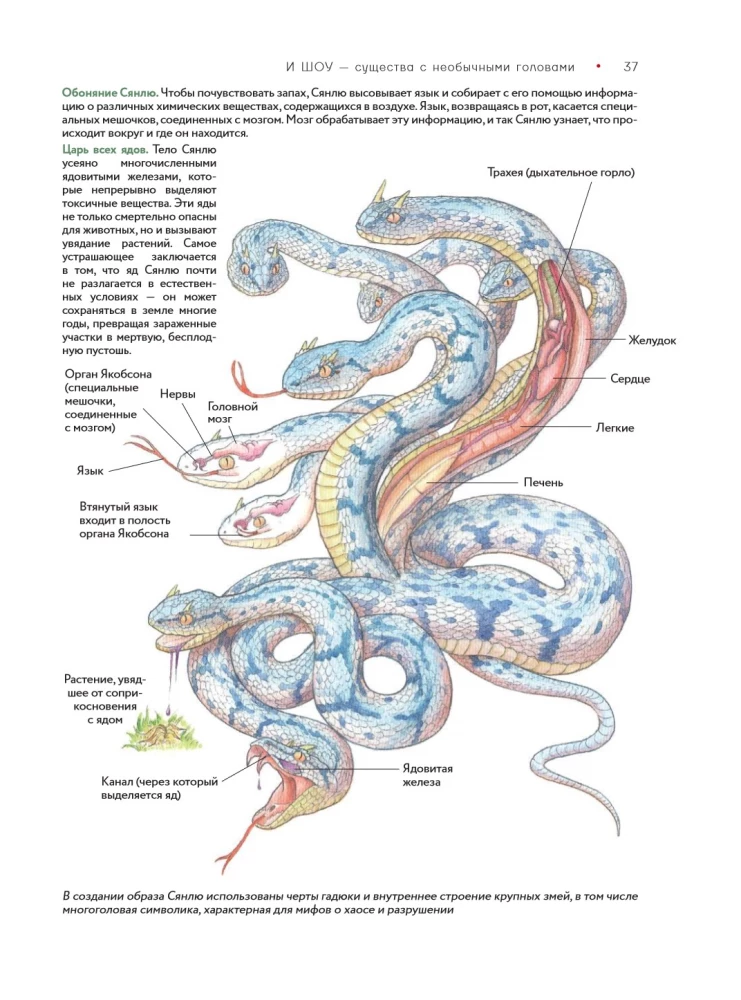 Bestiary of Chinese Mythology. The Book of Mountains and Seas. With Augmented Reality