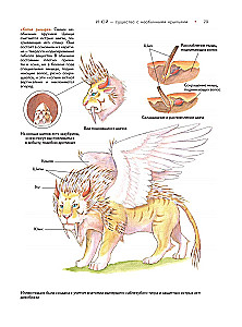 Bestiary of Chinese Mythology. The Book of Mountains and Seas. With Augmented Reality