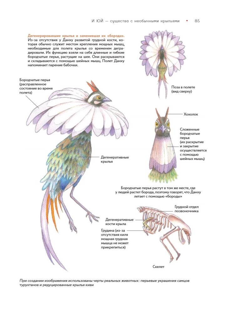 Bestiary of Chinese Mythology. The Book of Mountains and Seas. With Augmented Reality