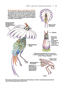 Bestiary of Chinese Mythology. The Book of Mountains and Seas. With Augmented Reality