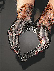 OIL. The History of Black Gold in Russia and the World