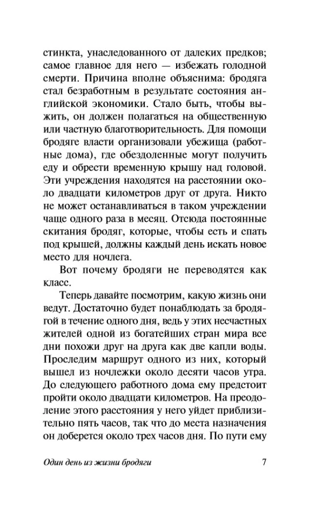 On Politics, Cooking, and Literature