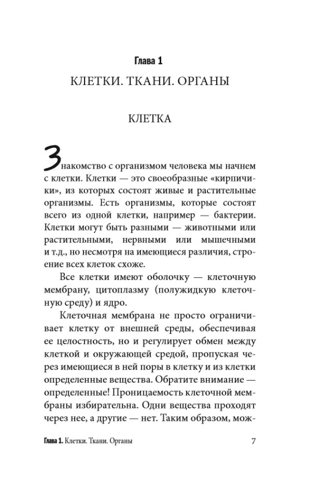 Anatomy for Those Searching for Their Navel