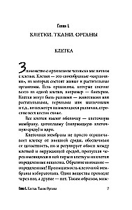 Anatomy for Those Searching for Their Navel