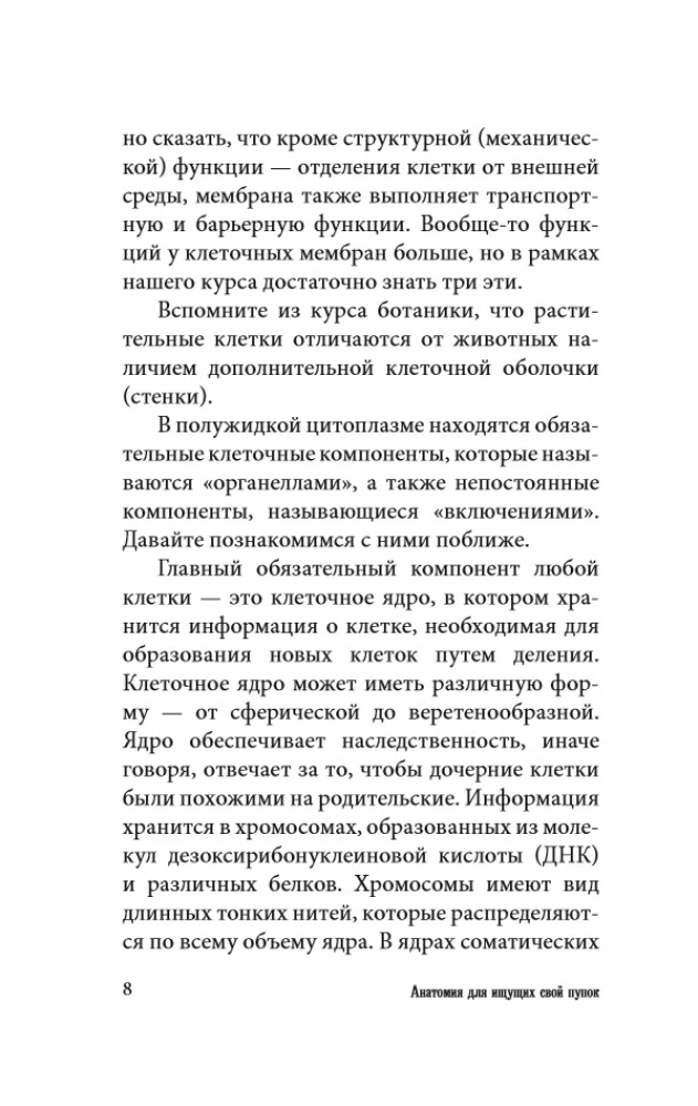 Anatomy for Those Searching for Their Navel