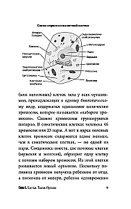 Anatomy for Those Searching for Their Navel