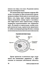 Anatomy for Those Searching for Their Navel