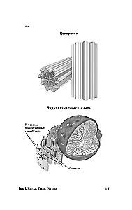 Anatomy for Those Searching for Their Navel
