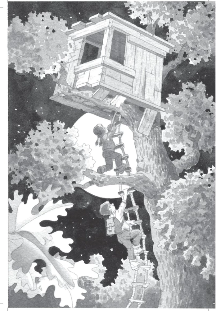 Midnight on the Moon