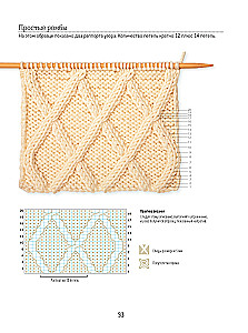 Biblia wzorów z warkoczami i warkoczami. Druty. 13 projektów, 21 lekcje i 50 wzorów