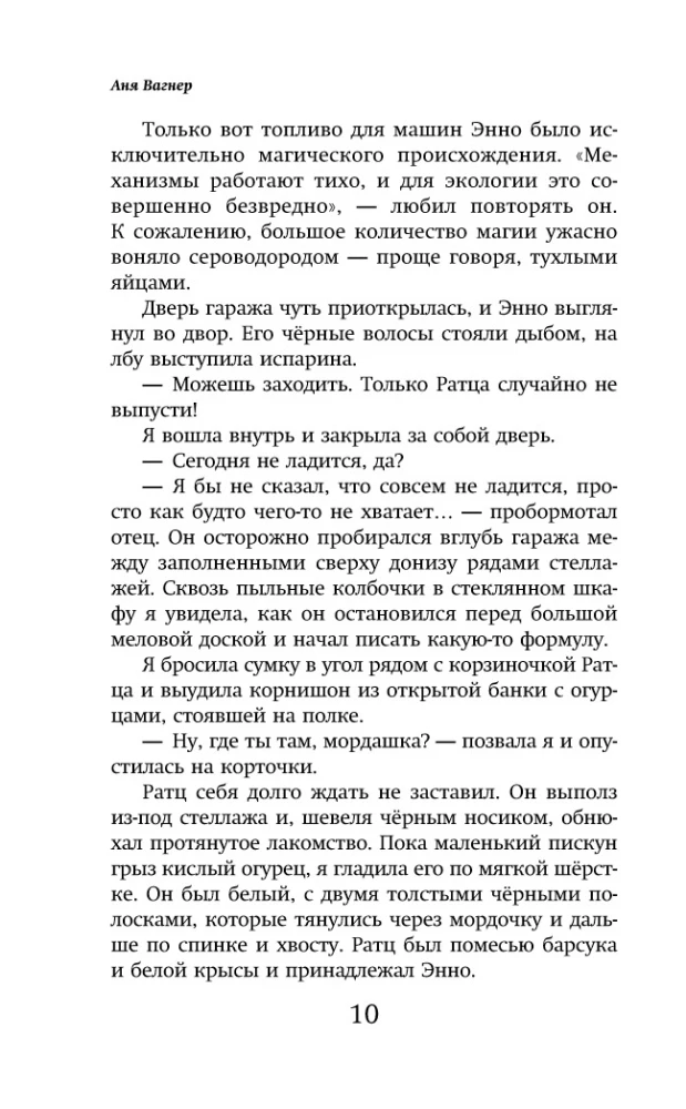 Maginiai agentai. Fėjų Dublinėjo!