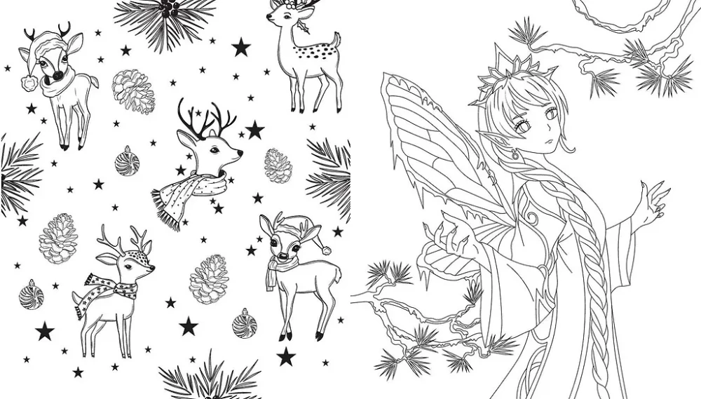 Fairies of the Winter Forest. Coloring Book
