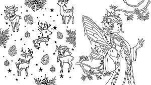 Fairies of the Winter Forest. Coloring Book