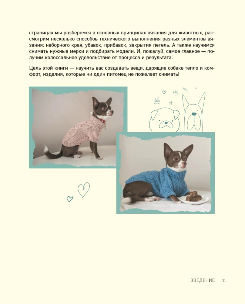 Beautiful clothes for dogs. Fluffy trends for any breed. Knitting with needles