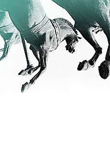 Didysis baletas. Pagrindinio šalies teatro istorija