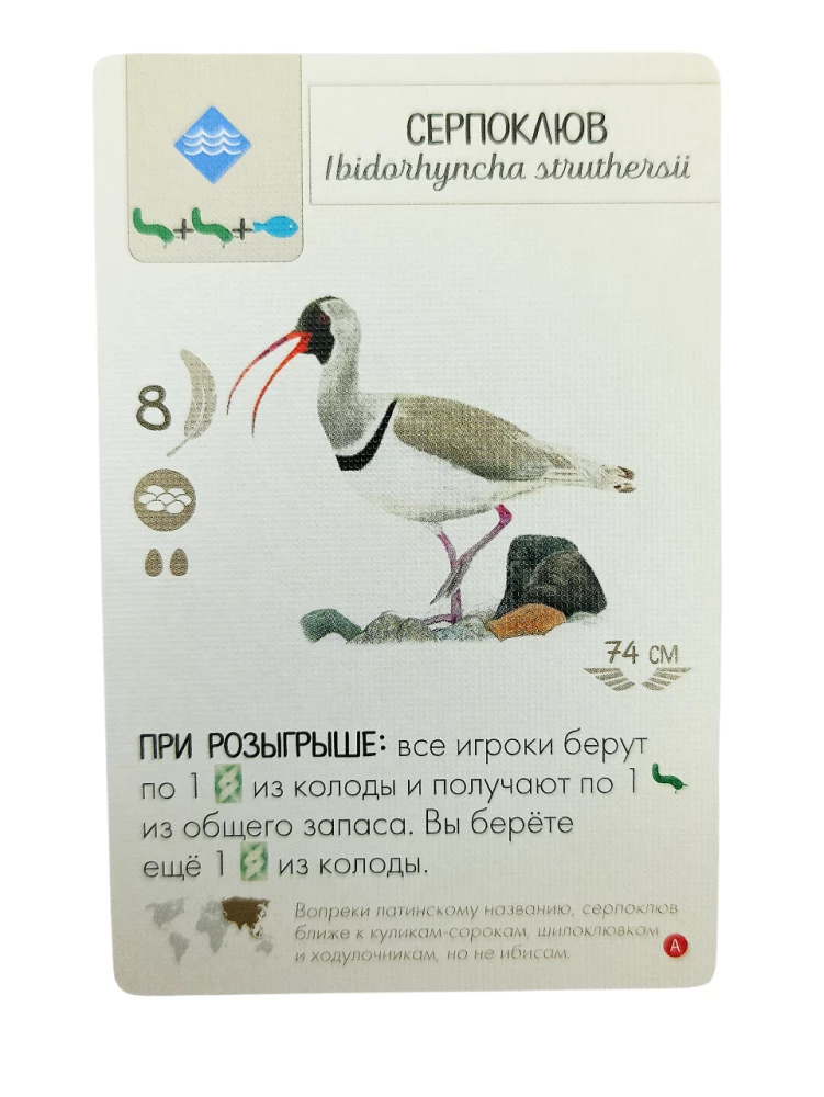 Настольная игра - Крылья. Птицы Азии