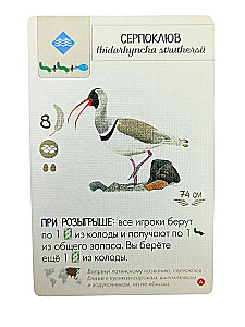 Настольная игра - Крылья. Птицы Азии
