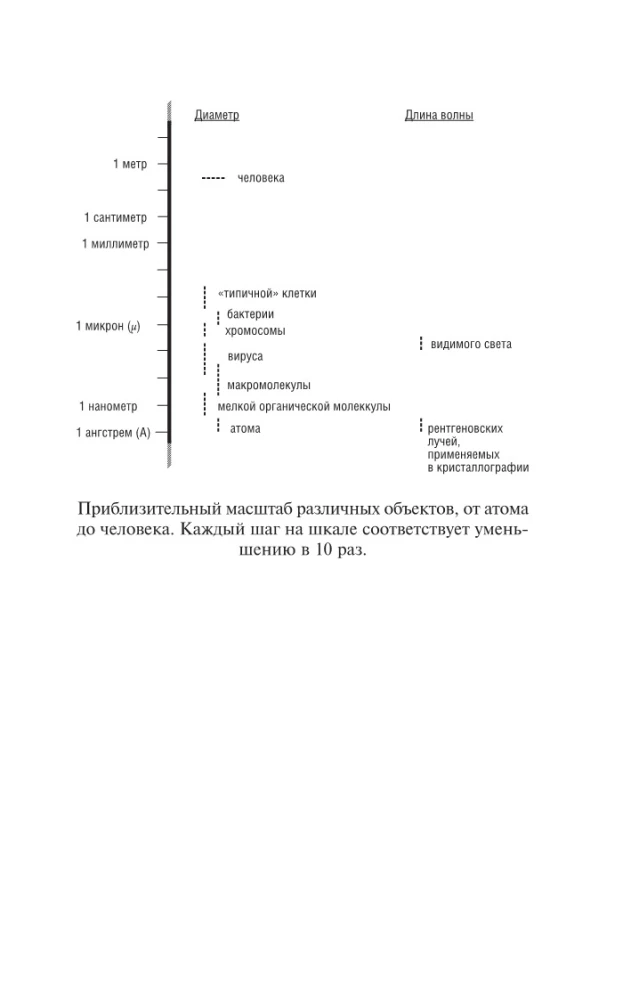 Was für ein verrücktes Streben!