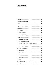 The Loneliness of the Brave: A Novel about Giovanni Falcone