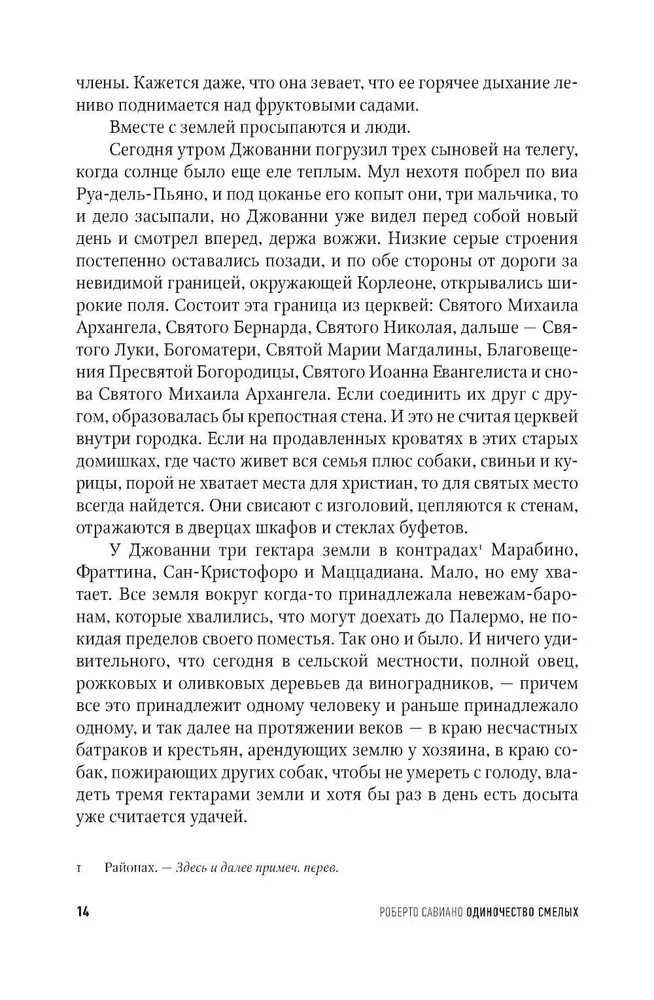 The Loneliness of the Brave: A Novel about Giovanni Falcone