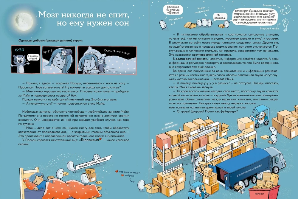 What is a human? Notes of a curious hamster